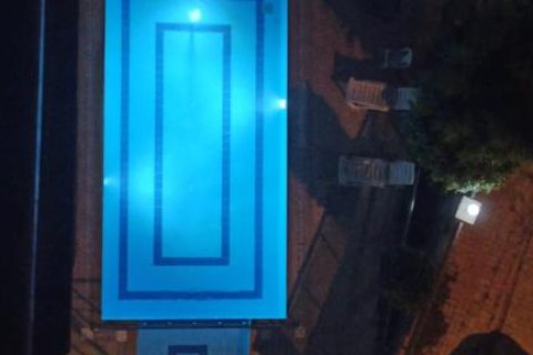 Wohnung in Mahmutlar, Antalya, Türkei Nr. 212426 - 30