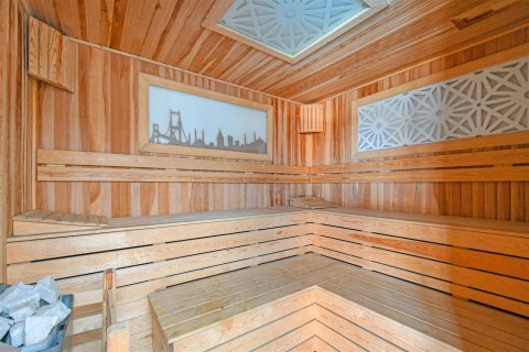 1+1 Wohnung in Kestel, Antalya, Türkei Nr. 227145 - 11