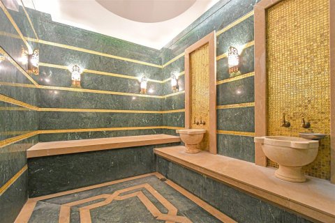 1+1 Wohnung in Kestel, Antalya, Türkei Nr. 227145 - 10