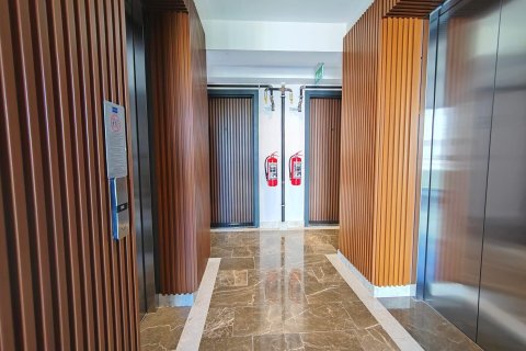1+1 Wohnung  in Muratpasa, Antalya, Türkei Nr. 212556 - 2