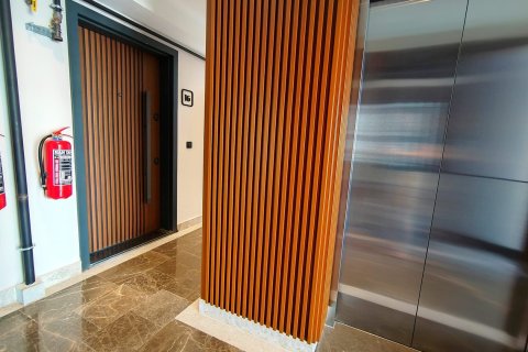 1+1 Wohnung  in Muratpasa, Antalya, Türkei Nr. 212556 - 9