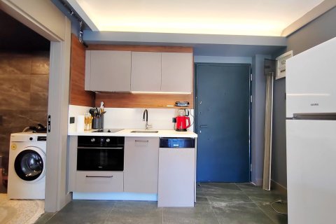 1+1 Wohnung  in Muratpasa, Antalya, Türkei Nr. 212556 - 16