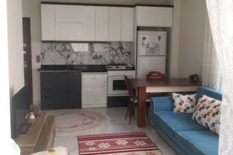 آپارتمان در  Alanya ، ترکیه 48 متر مربع.  شماره 211843 - 3