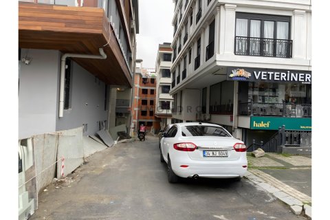 3+1 Lägenhet i Besiktas, Istanbul, istanbul, Turkiet Nr. 217021 - 29