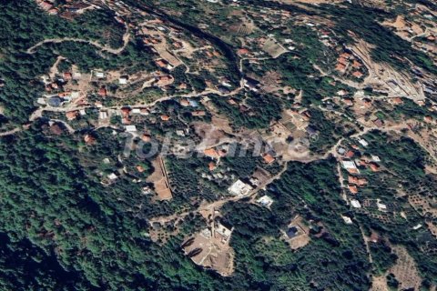 Tom  i Antalya, Tyrkiet Nr. 220044
