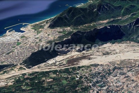 Tom i Antalya, Tyrkiet Nr. 220043 - 2