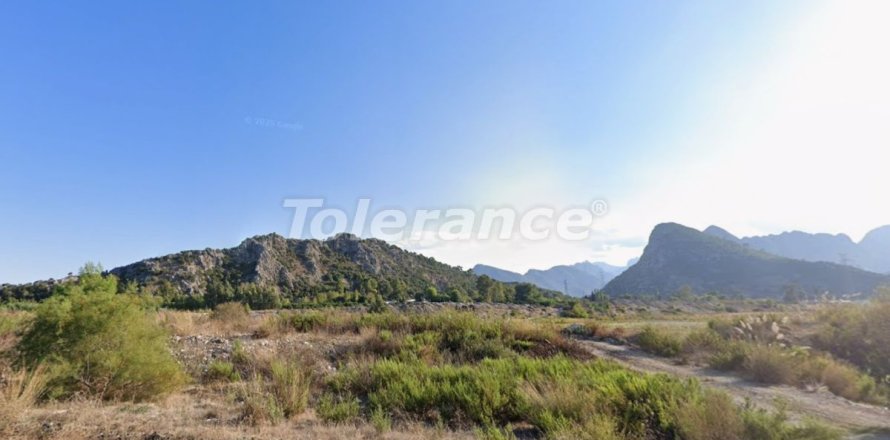 Tom i Antalya, Tyrkiet Nr. 220043