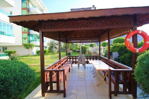 4+1 Lejlighed i Kestel, Antalya, Tyrkiet Nr. 219386 - 23