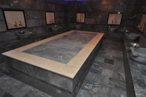 4+1 Lejlighed i Kestel, Antalya, Tyrkiet Nr. 219386 - 24