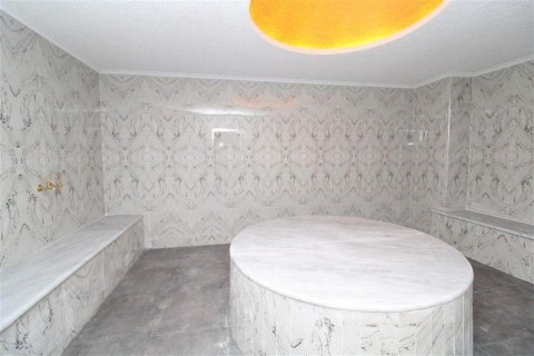 3+1 Leilighet  i Alanya, Antalya, Tyrkia Nr. 221471 - 18