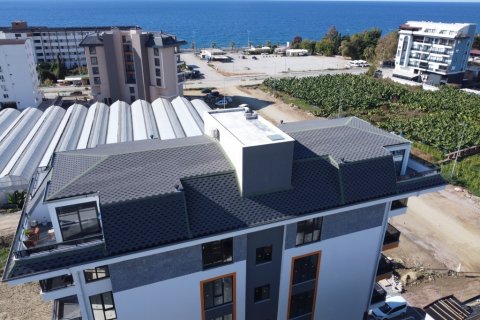 Kommersiella fastigheter  i Kargicak, Alanya, Antalya, Turkiet Nr. 94575 - 5