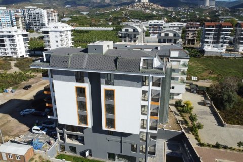 Kommersiella fastigheter  i Kargicak, Alanya, Antalya, Turkiet Nr. 94575 - 2