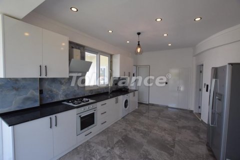 9+1 Villa  i Belek, Antalya, Tyrkiet Nr. 106082 - 3