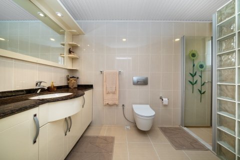 Daire  3+1  Alanya, Antalya, Türkiye №216696 - 14