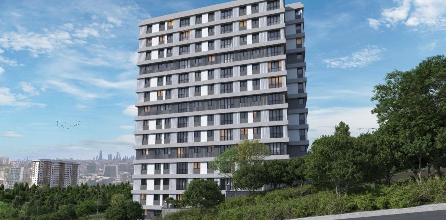 1+1 Leilighet i Istanbul, Tyrkia Nr. 211896