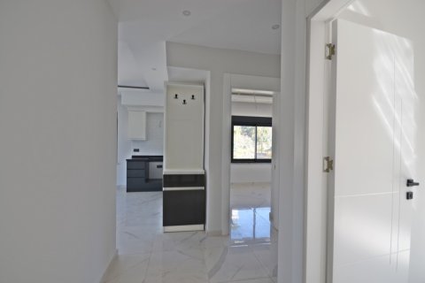 2+1 Lägenhet i Alanya, Antalya, Turkiet Nr. 221469 - 21