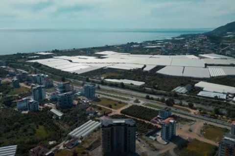 1+1 Wohnung  in Antalya, Türkei Nr. 222782 - 18