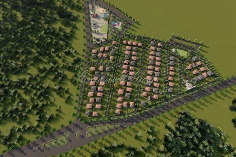 Tom i Istanbul, Tyrkiet Nr. 227733 - 5