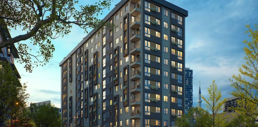 1+1 Apartment in Istanbul, Turkey No. 211893