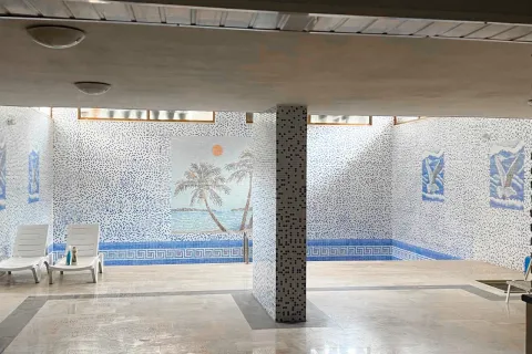 3+1 Lägenhet i Alanya, Antalya, Turkiet Nr. 223775 - 26