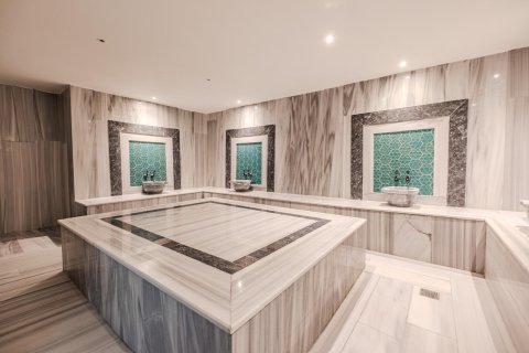 1+1 Wohnung in Alanya, Antalya, Türkei Nr. 226470 - 23