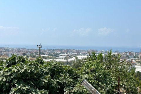 1+1 Apartment  in Alanya, Antalya, Turkey No. 228356