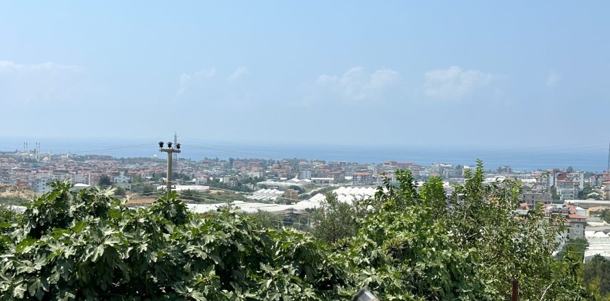 Квартира 1+1 в Аланье, Анталья, Турция №228356