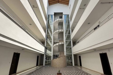 Продажа квартиры в Аланье, Анталье, Турция 1+1, 60м2, №228356 – фото 11