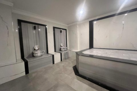 1+1 Lejlighed  i Alanya, Antalya, Tyrkiet Nr. 228358 - 14