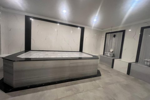 1+1 Lejlighed  i Alanya, Antalya, Tyrkiet Nr. 228358 - 13