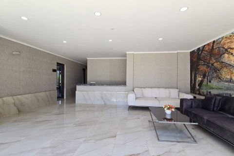 1+1 Wohnung in Alanya, Antalya, Türkei Nr. 228357 - 10