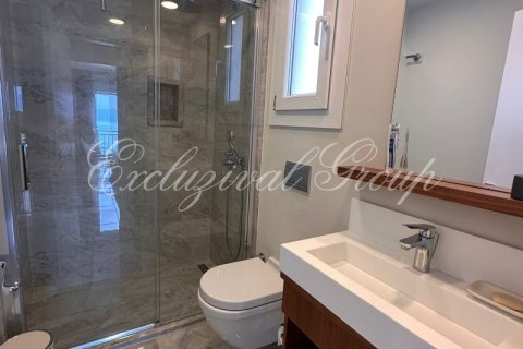 2+1 Wohnung in Bodrum, Mugla, Türkei Nr. 225402 - 21
