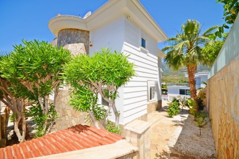 3+1 Villa  i Alanya, Antalya, Tyrkia Nr. 216456 - 13