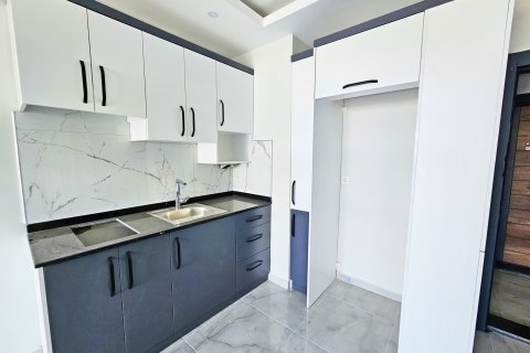 1+1 Wohnung  in Alanya, Antalya, Türkei Nr. 216459 - 2