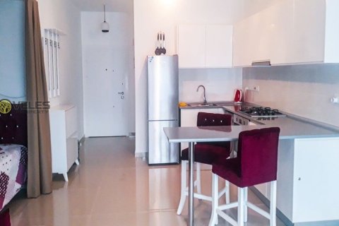 آپارتمان در Long Beach ، ترکیه 37 متر مربع. شماره 213873 - 10
