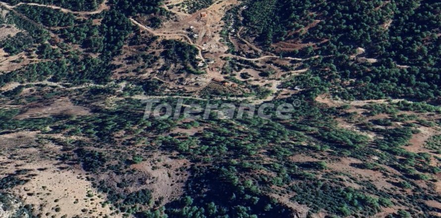 Land  in Antalya, Türkei Nr. 227797