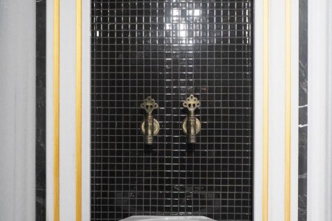 1+1 Leilighet i Alanya, Antalya, Tyrkia Nr. 223370 - 15