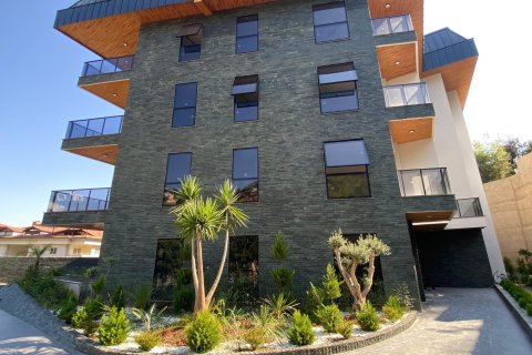 1+1 Apartment  in Alanya, Antalya, Turkey No. 216294