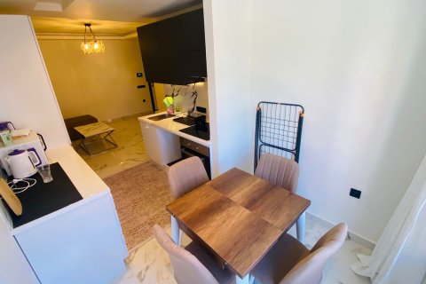 1+1 Wohnung in Alanya, Antalya, Türkei Nr. 216296 - 3