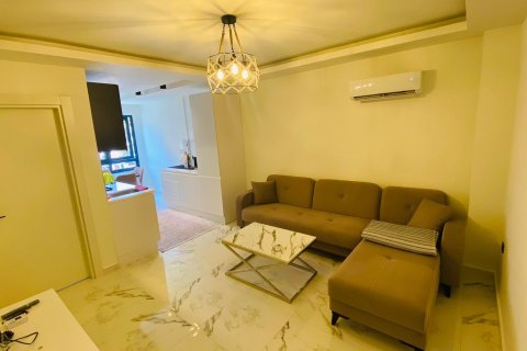 1+1 Wohnung in Alanya, Antalya, Türkei Nr. 216296 - 11