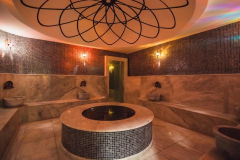 آپارتمان در Kargicak،  Alanya ، ترکیه 200 متر مربع.  شماره 93680 - 16
