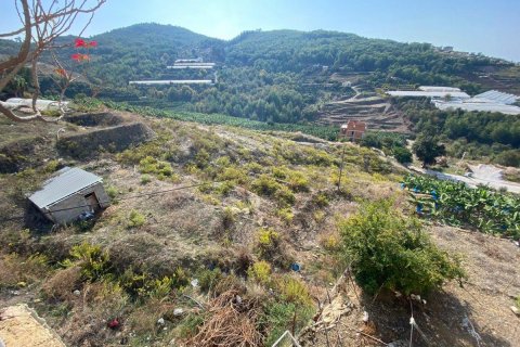 Tomt  i Kargicak, Alanya, Antalya, Tyrkia Nr. 93507 - 2