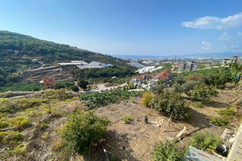 Tomt  i Kargicak, Alanya, Antalya, Tyrkia Nr. 93507 - 4