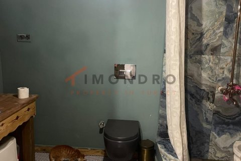 3+1 Villa  i Fatih, Istanbul, istanbul, Turkiet Nr. 237764 - 18