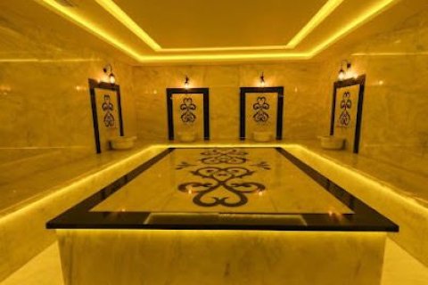 1+1 Lejlighed  i Alanya, Antalya, Tyrkiet Nr. 216907 - 21