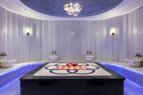 1+1 Lejlighed i Alanya, Antalya, Tyrkiet Nr. 216908 - 25