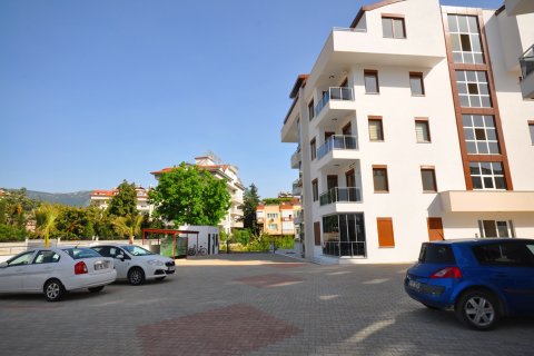 Forretning i Mahmutlar, Antalya, Tyrkiet Nr. 222958 - 4