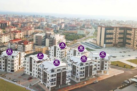 Ladengeschäft  in Mahmutlar, Antalya, Türkei Nr. 222958