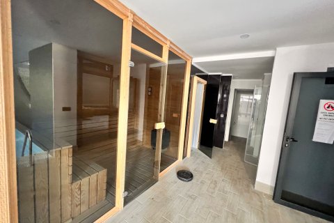 4+1 Wohnung  in Mahmutlar, Antalya, Türkei Nr. 218678 - 24