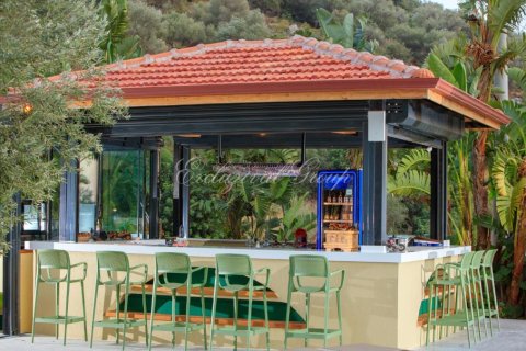 Villa 2+1 Fethiye, Muğla, Türkiye №222319 - 24